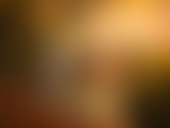 Aux couleurs de l'automne