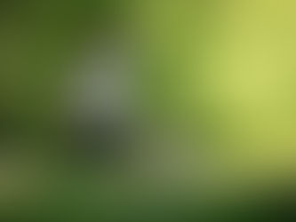 Pourquoi un bon éleveur pose beaucoup de questions ?