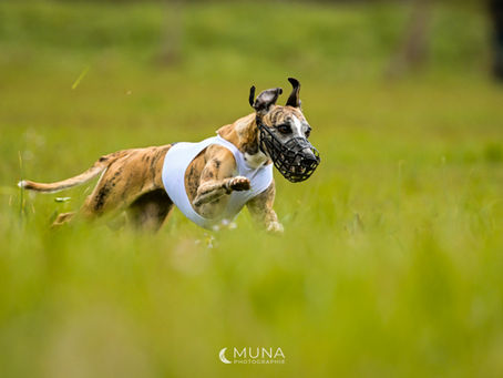 Epreuve de PVL - Laferté-sur-Amance