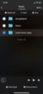 Evermusic File Manager