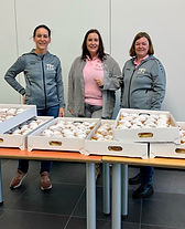 Faschingskrapfen 2025/02