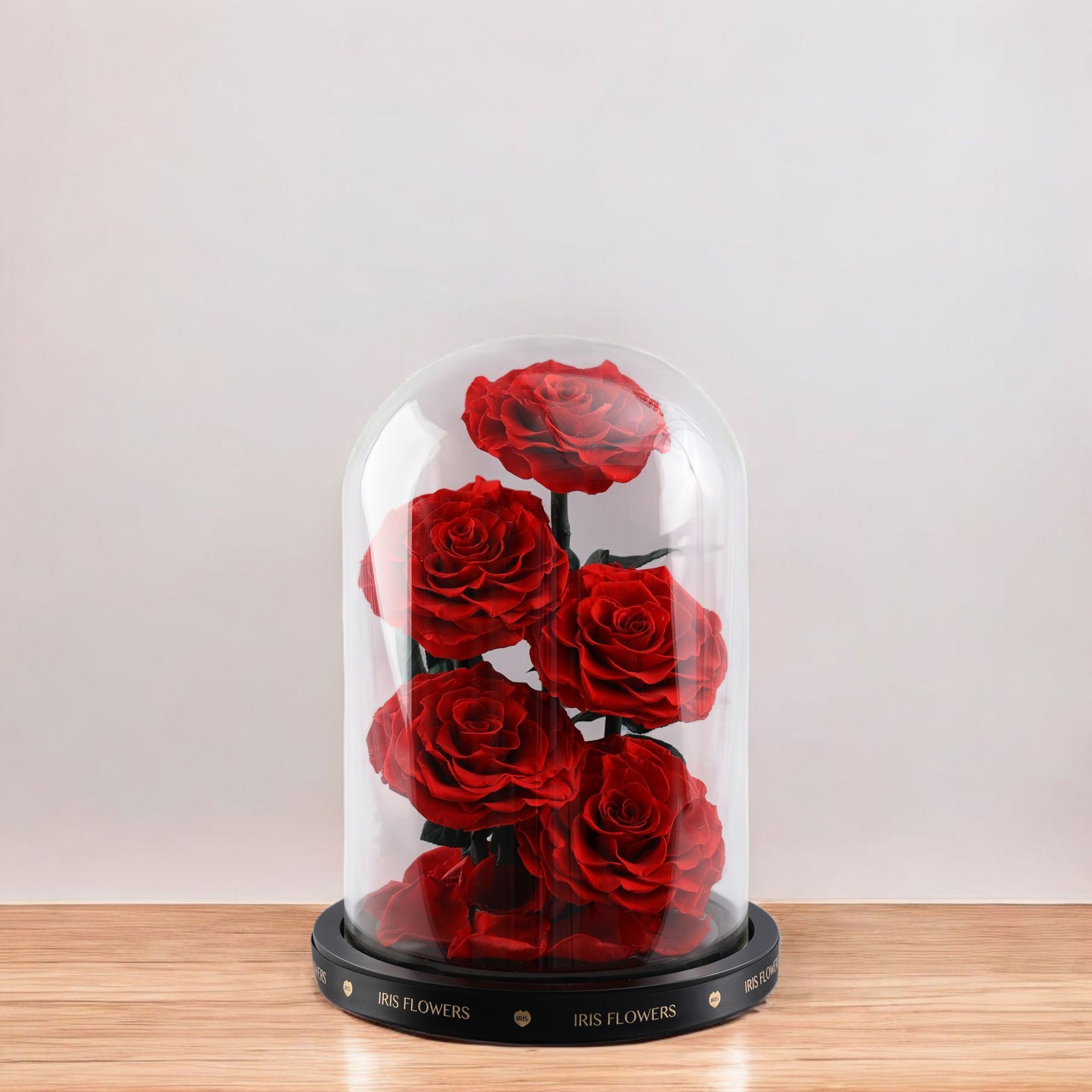 Red Forever Rose
