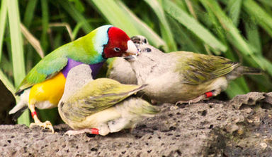 Atlas 07 MAY 2016 Proof.jpg