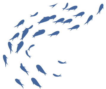 Fish Left.png