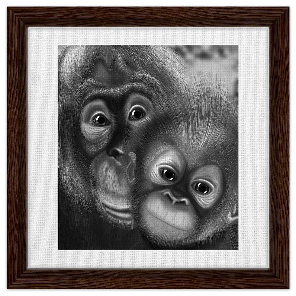 Thumbnail: Monochrome hand drawn digital orangutans design by catieartworks Framed Canvas