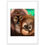 Thumbnail: Orangutans Framed print of digitally hand drawn art work by catieartworks