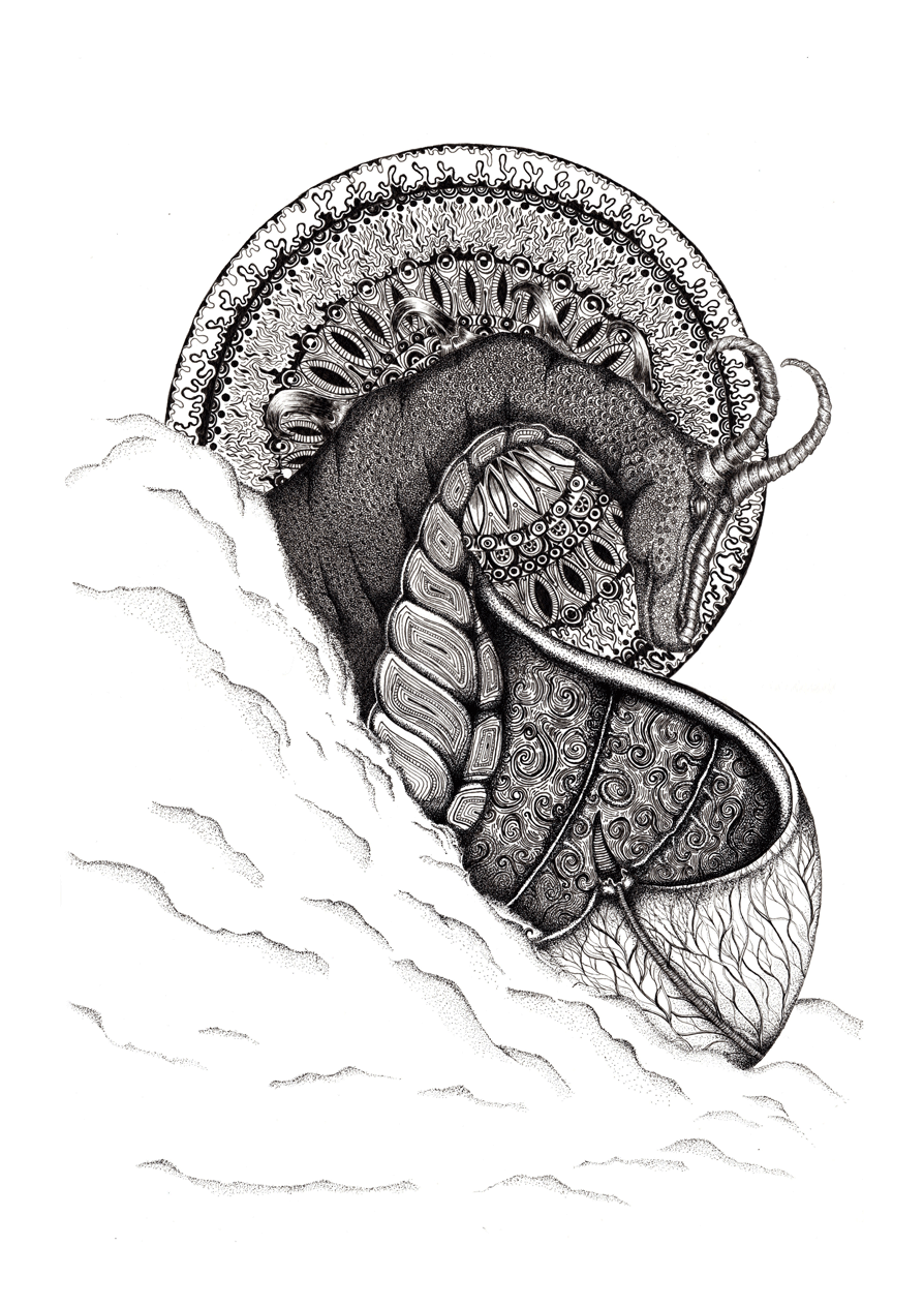 Peace Dragon
