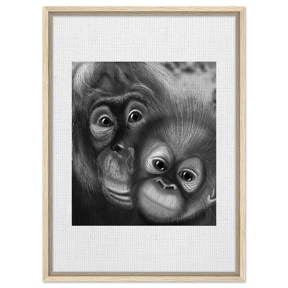 Thumbnail: Monochrome hand drawn digital orangutans design by catieartworks Framed Canvas