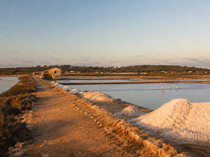 The Salt That Built Ibiza
