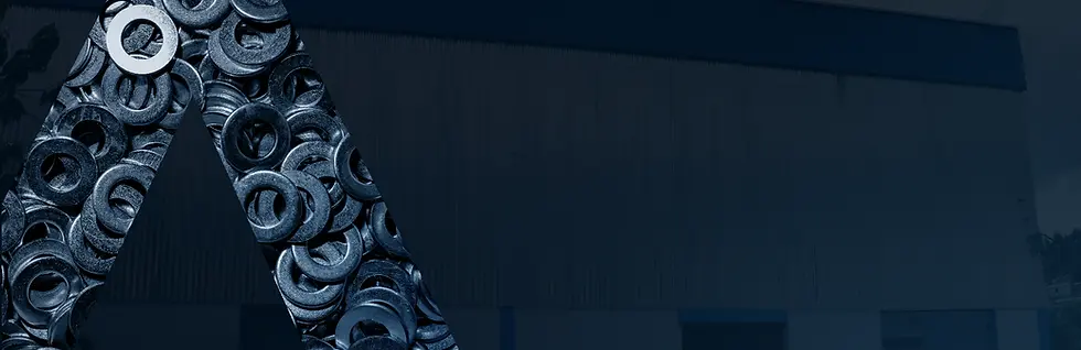 Prancheta 1.webp