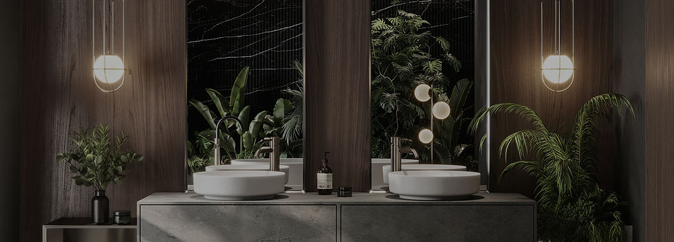 Bathroom Sinks_edited.jpg