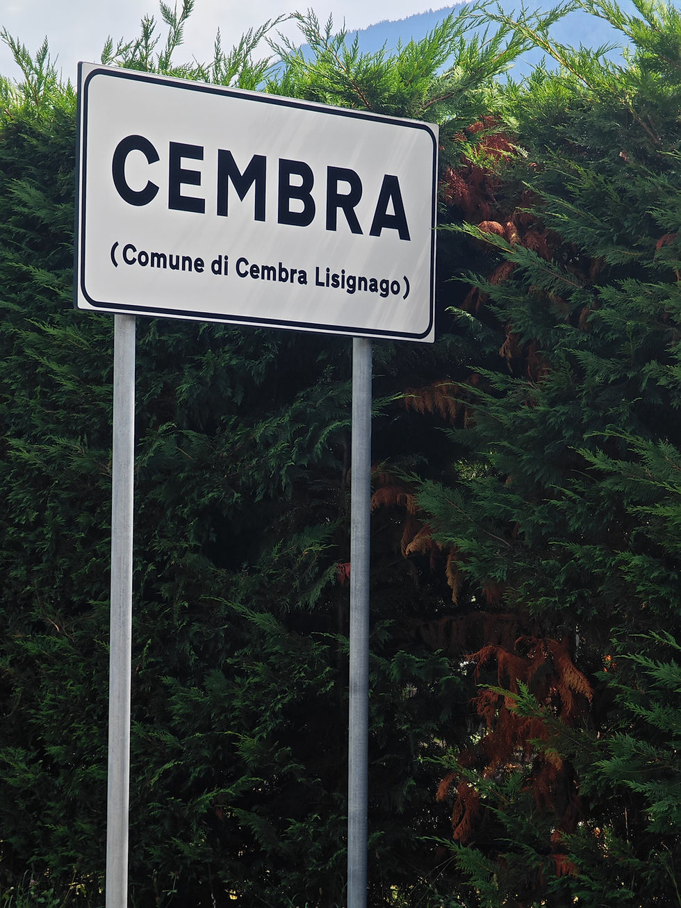 Cembra - wine making area