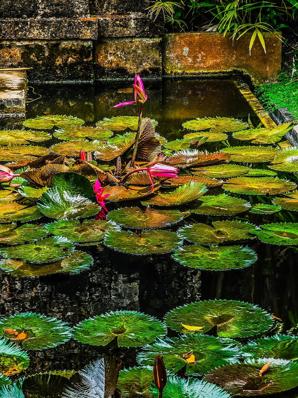 Private Villa Rental Villa Pantai Karang in Sanur