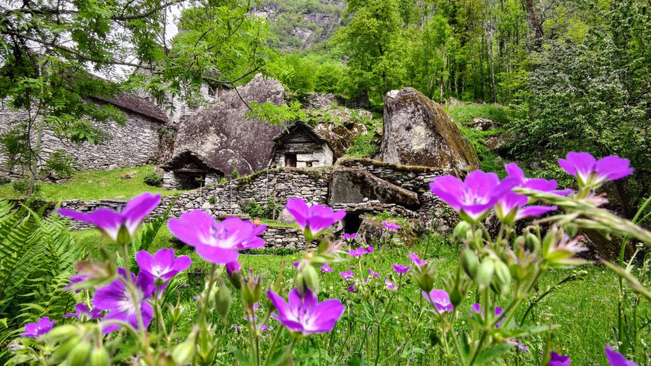 Switzerland: Spring in Val Bavona, a valley that flows into the Vallemaggia, Canton Ticino