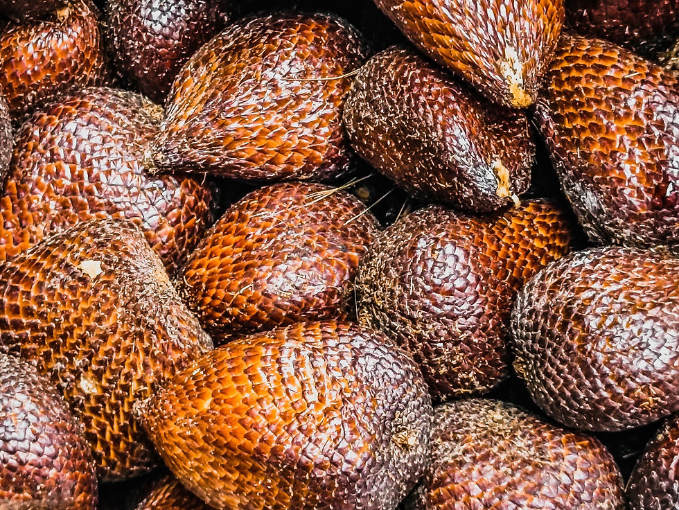 Snake Fruit (Salak Bali)