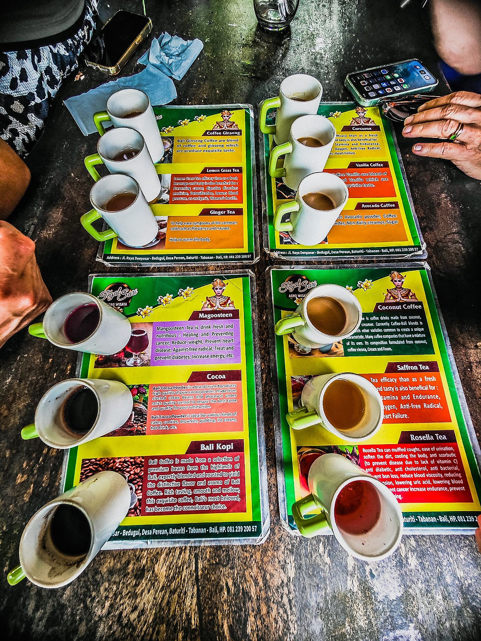 Luwak - in Tegal Sari Agro Wisata - Coffee Experience Coffee and Tea Tasting