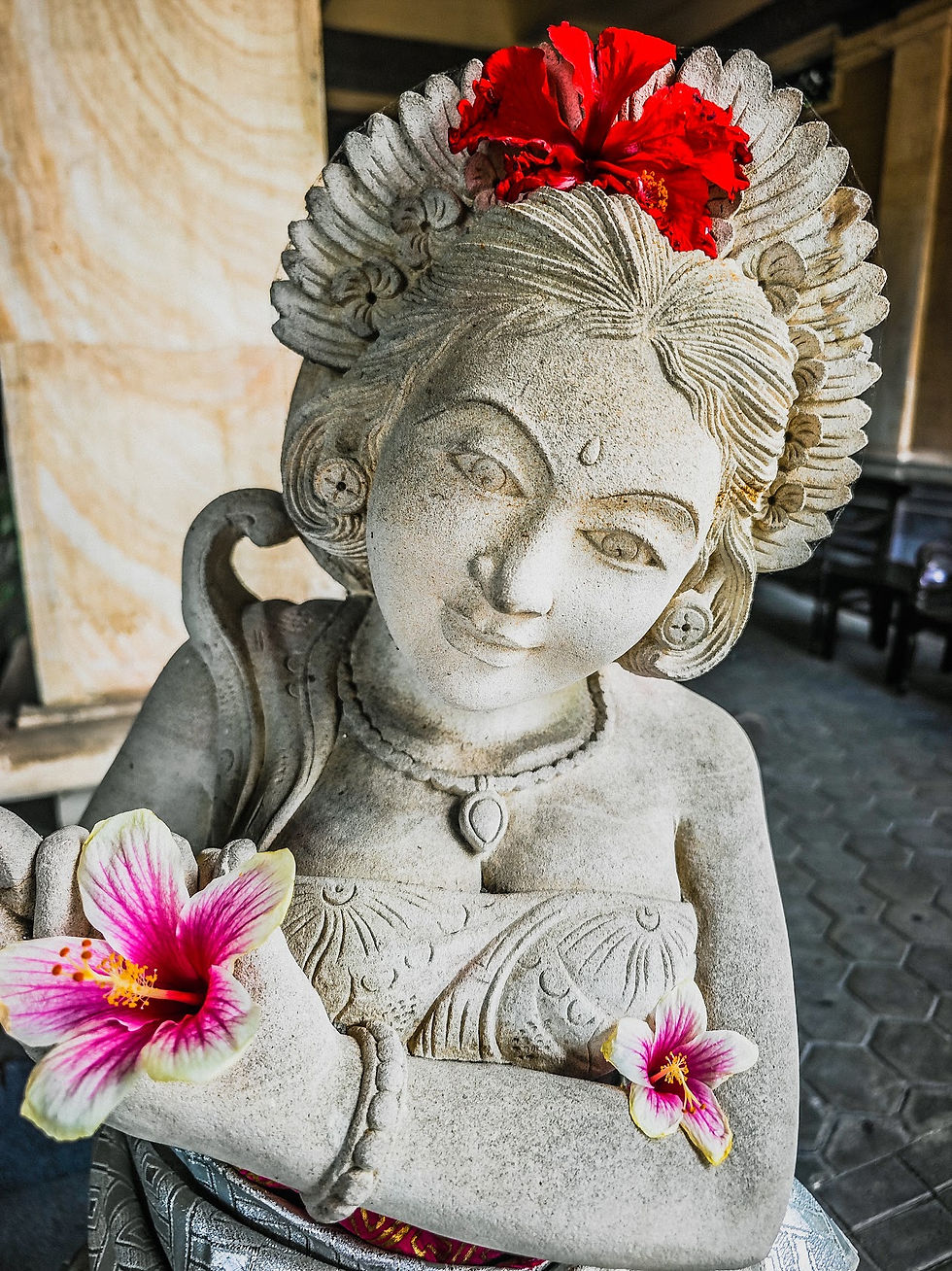 SIlver Show Room Decoration