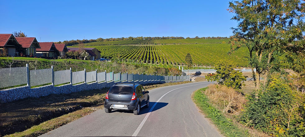 Crama la Salina, the winery and ISSA Village Resort