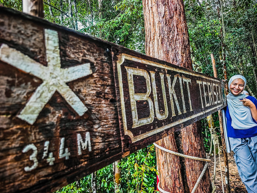 Taman Negara Park and ancient Jungle