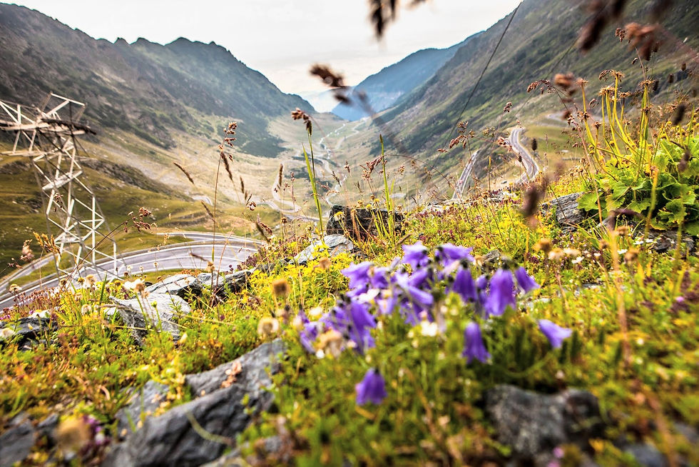 Transfăgărășan is a legendary road winding through the Făgăraș Mountains in Romania