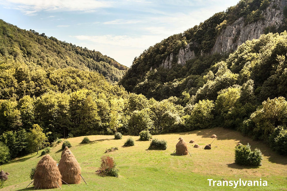 Welcome to Transylvania