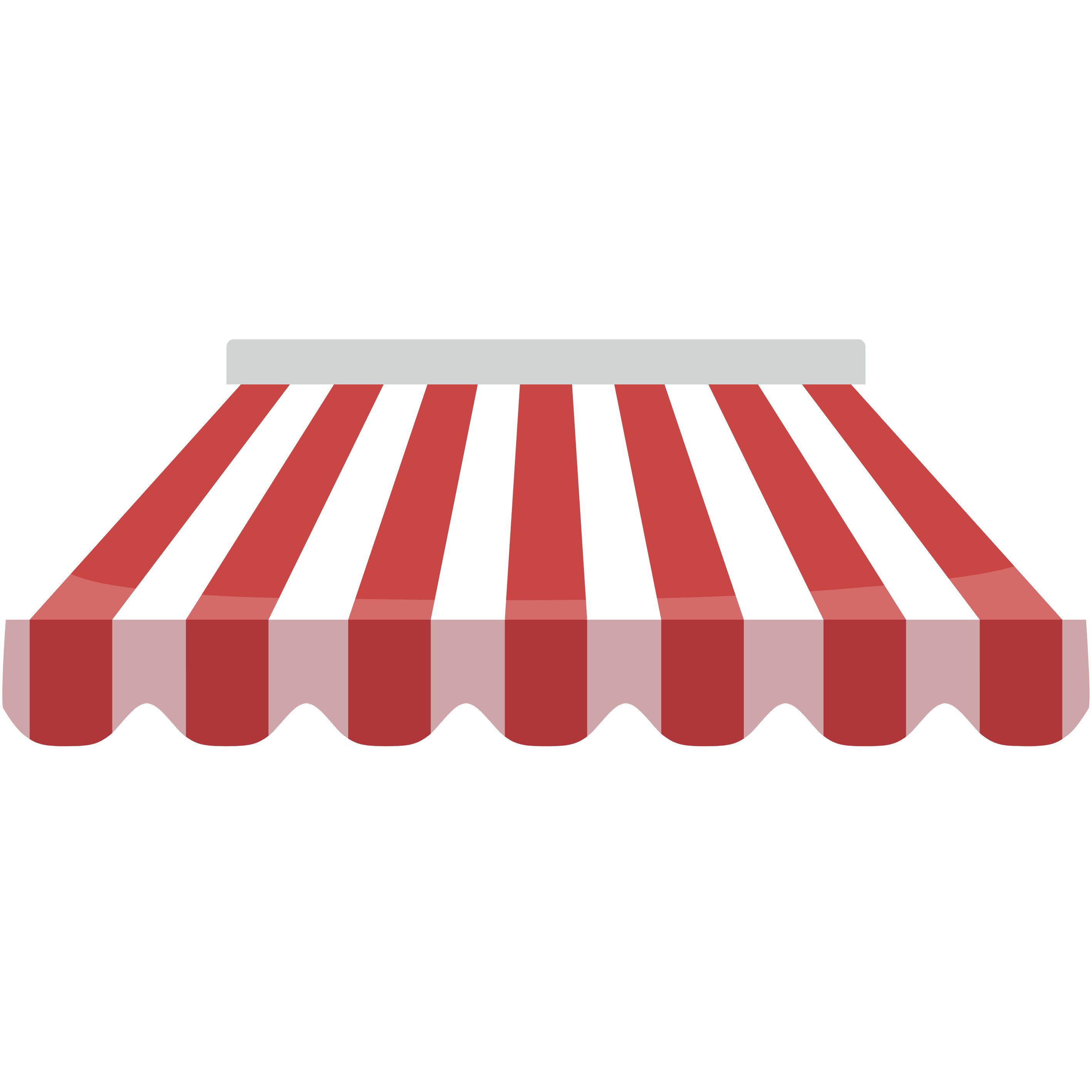 Zebra Model Tente Renklerine Göz At