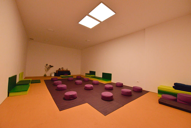 _VFS3567tantraspiritualfitness 6.JPG