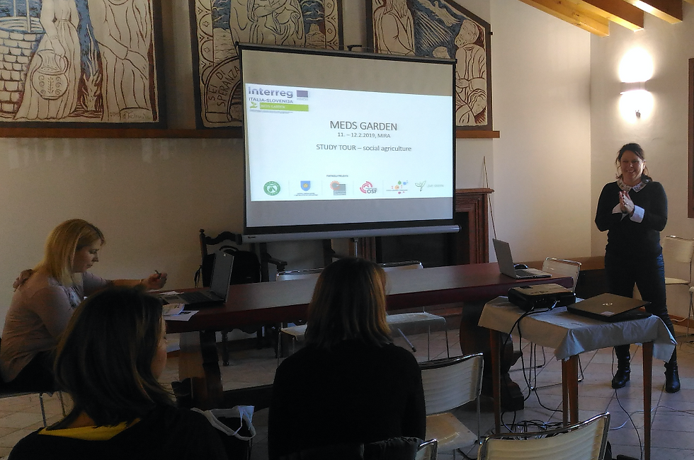 Incontro a Pordenone, presso la sede della Fondazione OSF, dei partner italiani di Progetto.