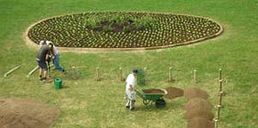 Giardino
