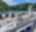 2021-07-31 14.13_edited.jpg