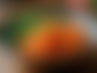 Learning about Gut Health