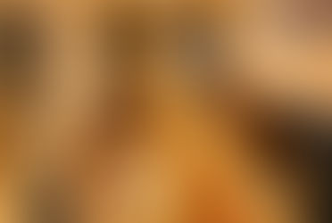 Your Guide to the Best Vegetarian and Halal Restaurant in Den Haag