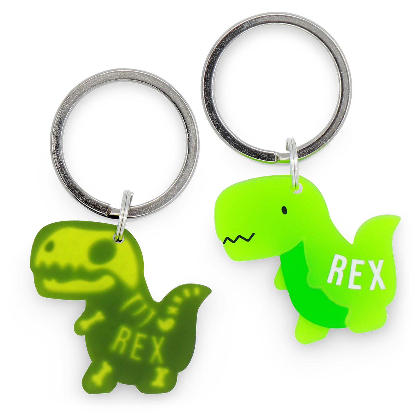 Shatter-resistant dinosaur charm for unique pets. Essential pet gear featuring stainless steel hardware & waterproof acrylic.