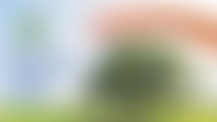 Сдай макулатуру – подари будущее