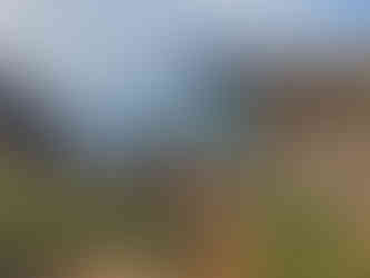 calette vicino alla villa con piscina "All'Ombra dei Pitosfori