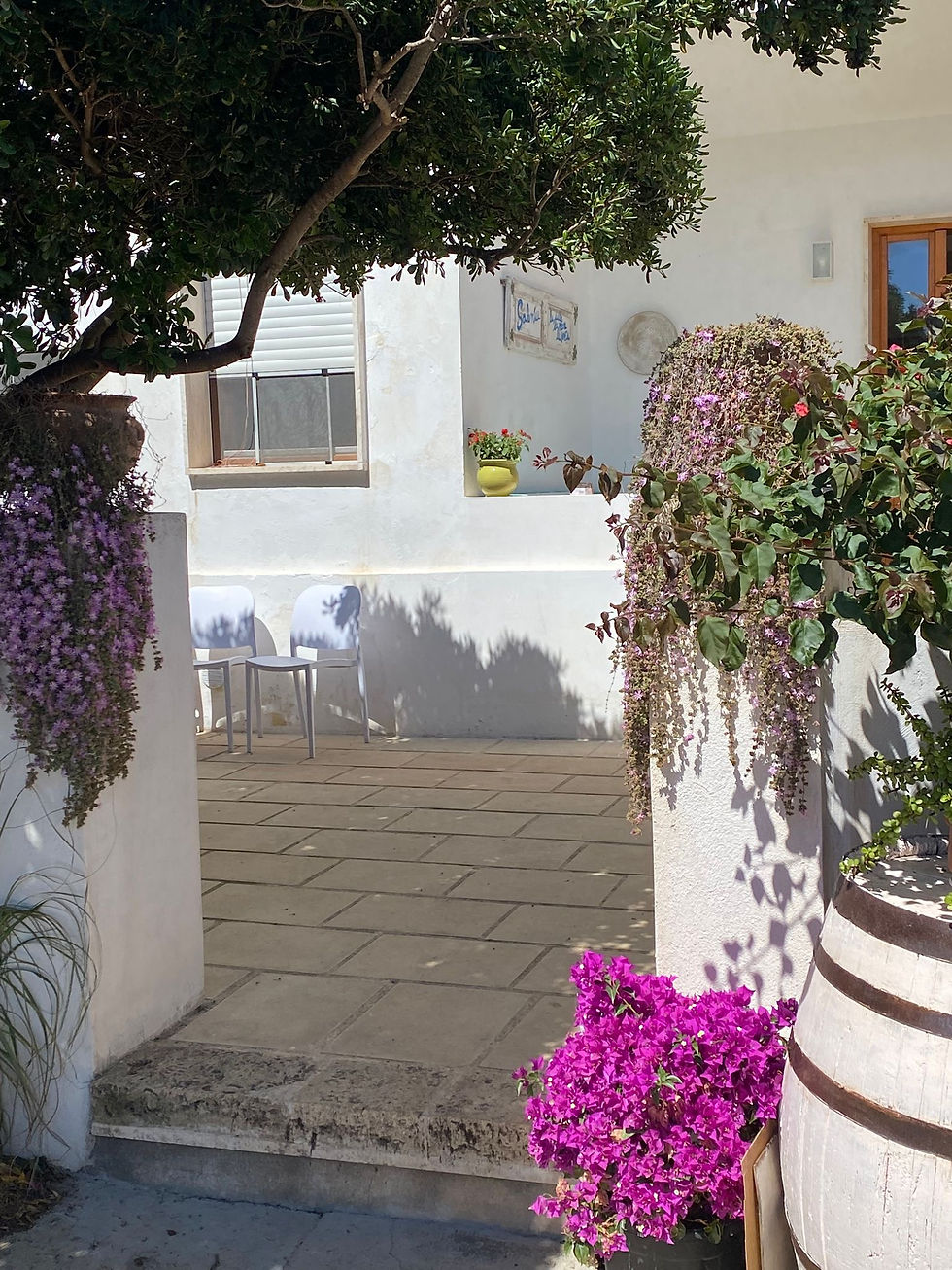 Ingresso della Villa All'Ombra dei Pitosfori