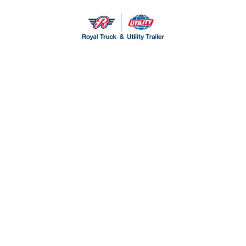 GIF-480p-240520.gif