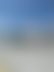 国内パビリオン