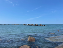 久しぶりの海