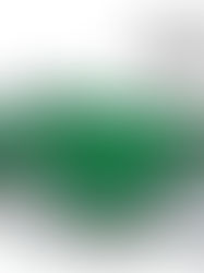 အေျခခံဥပေဒေျပာင္းလဲေရး - ဖယ္ဒရယ္ေလာ? ဒီမိုုကေရစီေလာ?
Constitutional change – federalism or democracy