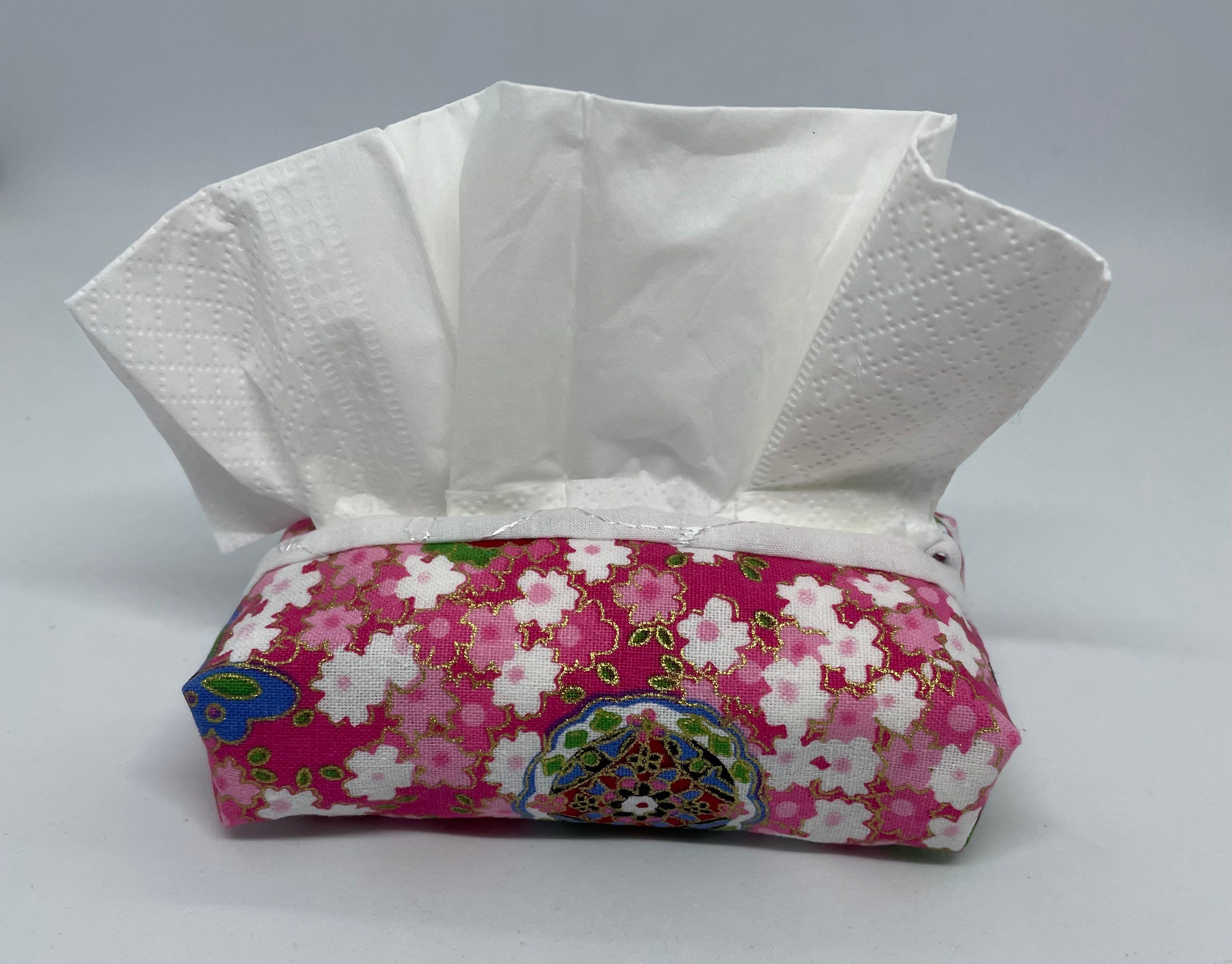 Tissue holder