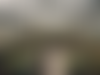 Unlock the Secrets of Successful Horticulture Cultivation