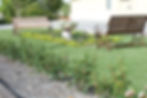 Motel gardens