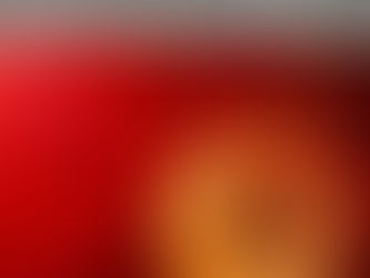 Criptomoedas seriam esquema ponzi?