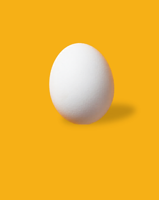 Untitled.png