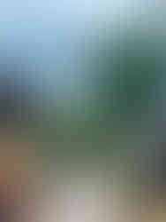 Volontariat au Laos : ruelle de Luang Prabang - Peuples et Montagnes du Mékong