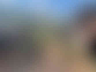 Village nord du Laos