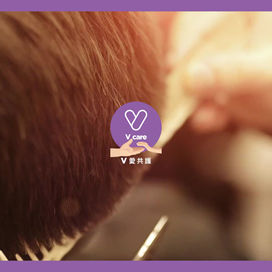 🆕V慈善基金首個義剪項目即將起動!
