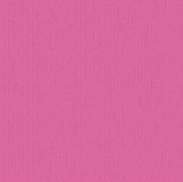 V慈善基金成立5️⃣週年 心系社區關愛無限