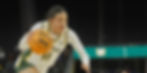 Banner_edited.jpg
